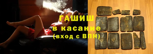 индика Алексин