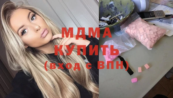 индика Алексин
