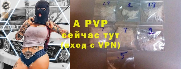 индика Алексин