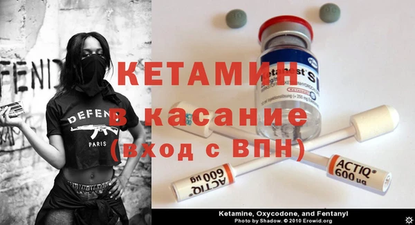 индика Алексин