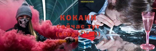 индика Алексин