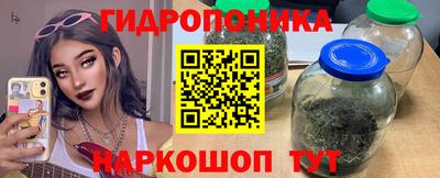 мдпв Новокубанск