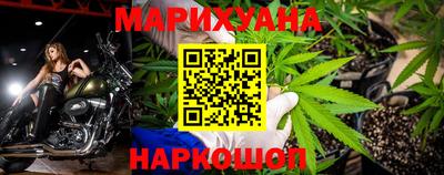 индика Новозыбков