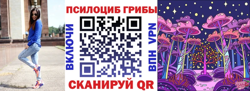 Псилоцибиновые грибы GOLDEN TEACHER кракен рабочий сайт Новокубанск купить наркотики сайты