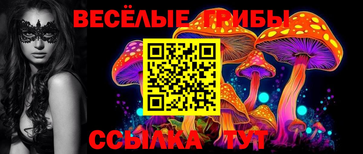 Галлюциногенные грибы Psilocybine cubensis Новокубанск