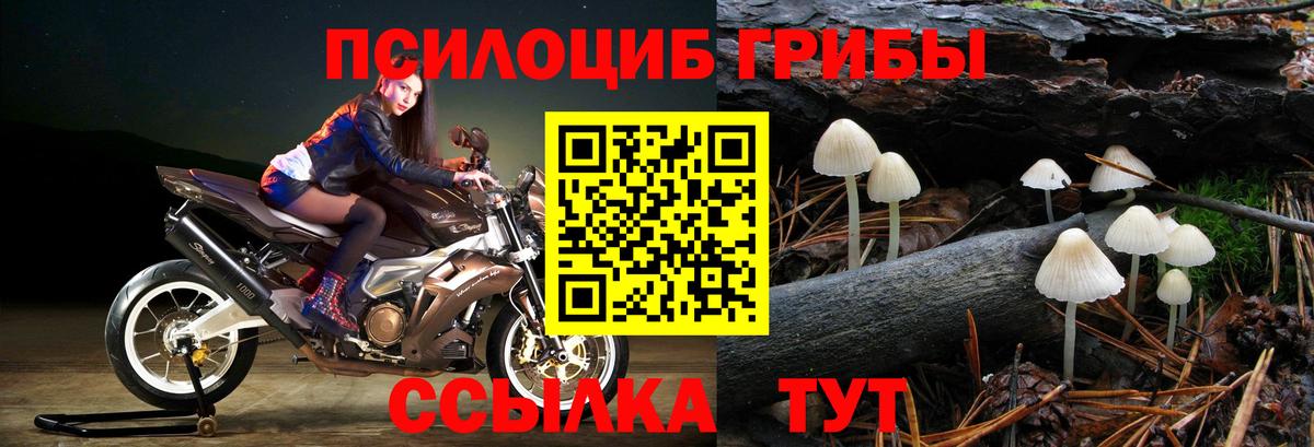 Галлюциногенные грибы Cubensis  Галлюциногенные грибы MAGIC MUSHROOMS  Вход с VPN  где найти   Новокубанск 